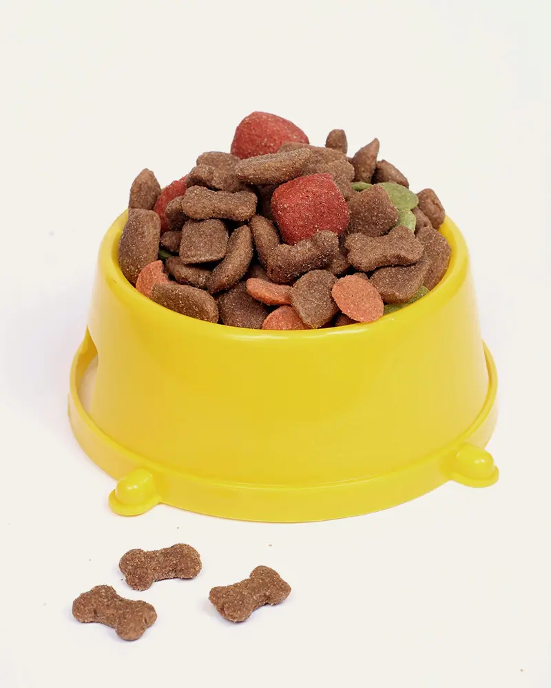  <span class="lte-header lte-h5"> ALIMENTAZIONE </span> 