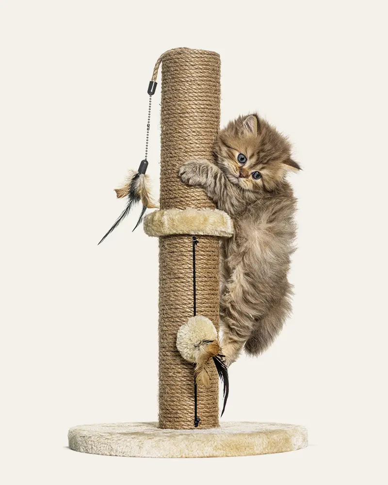  <span class="lte-header lte-h5"> GIOCHI </span> 